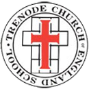 Bridge Schools Logo